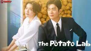 Drakor The Potato Lab: Dari Cerita Simpel Jadi Hits yang Viral