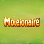 Rtp 8000 dan Moleionaire: Kombinasi Slot yang Bikin Heboh