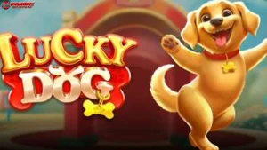 Fitur Bonusnya Gokil! 4 Trik Dapatin Free Spin Terbanyak di Lucky Dog