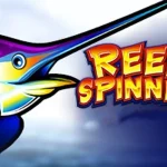 Jangan Gegabah Bro! 5 Tanda Harus Stop Spin di Reel Spinner