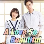 Film A Love So Beautiful 5 Alur Cerita Romantis Yang Membuat Hati Meleleh