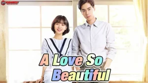 Film A Love So Beautiful 5 Alur Cerita Romantis Yang Membuat Hati Meleleh